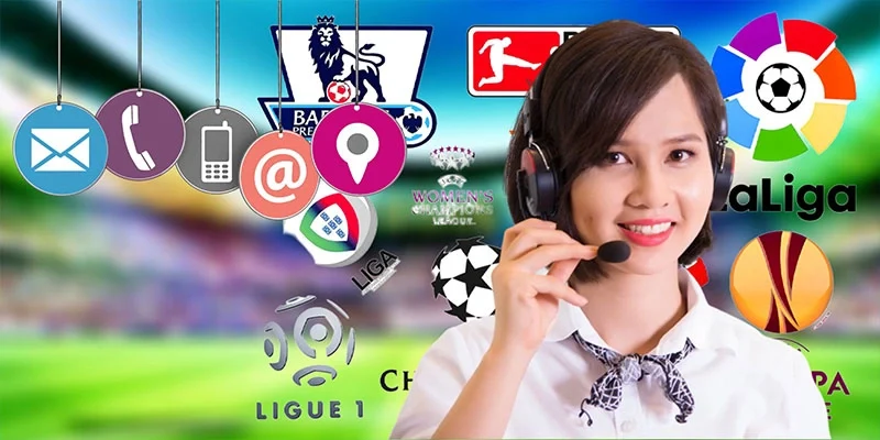 Hướng dẫn cách liên hệ 7m nhanh chóng