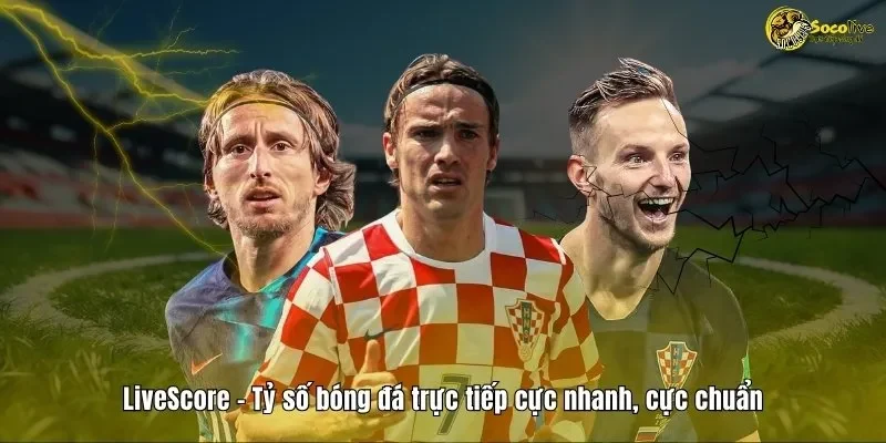 Livescore 7m Tại sao Livescore 7m được ưa chuộng