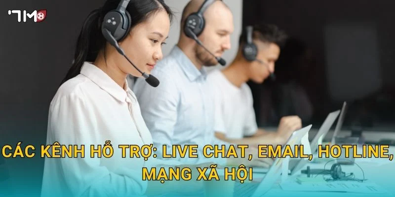 Tại sao nên lựa chọn 7m?